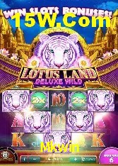 Experiência VIP Mkwin