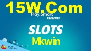 Mkwin App Interface